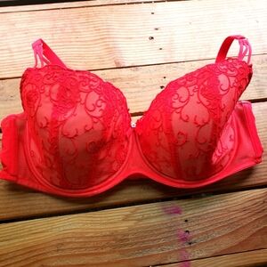 HIPS and Curves Red Lace Bra
